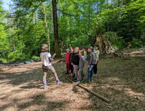 Waldjugendspiele am Waldhaus