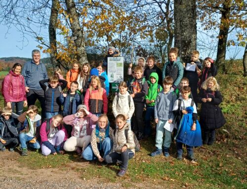 Unterwegs auf dem „Digitalen Waldlehrpfad“