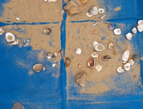 Fredericktag an der Hörnlebergschule