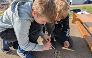 PXL_20260324_093801053.MP