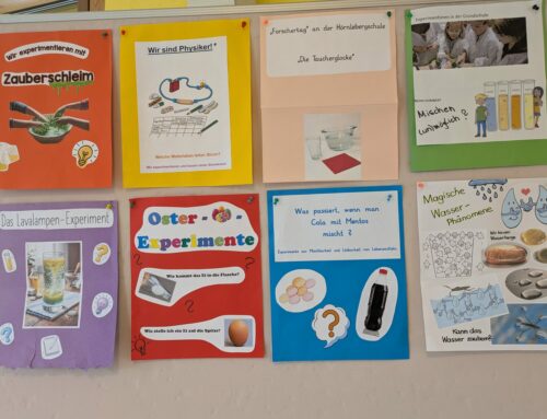 Experimentiertag an der Hörnlebergschule