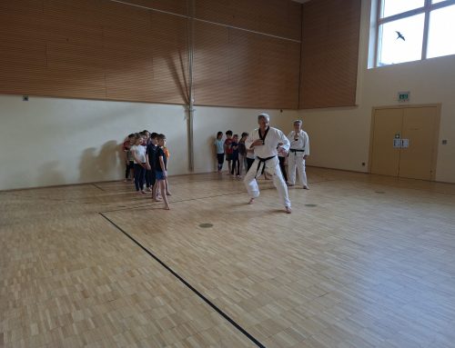 Faszination Taekwondo